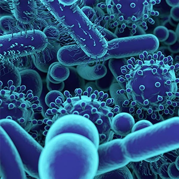 Čo to je mikrobióm?